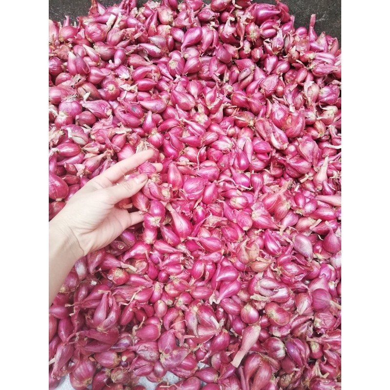 Hành tím Lý Sơn 500g