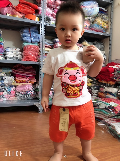 Set Áo heo & Quần kaki