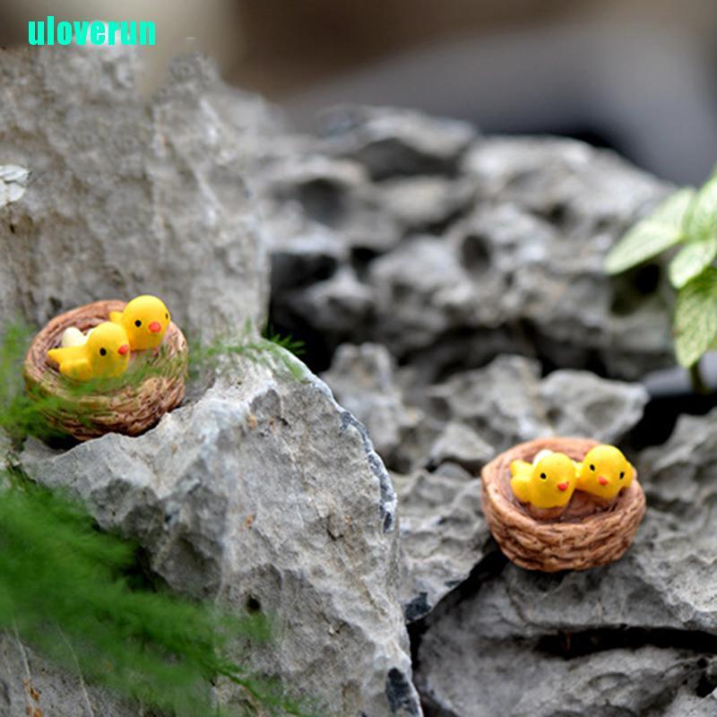 Mô Hình Tổ Chim Mini Dùng Để Trang Trí