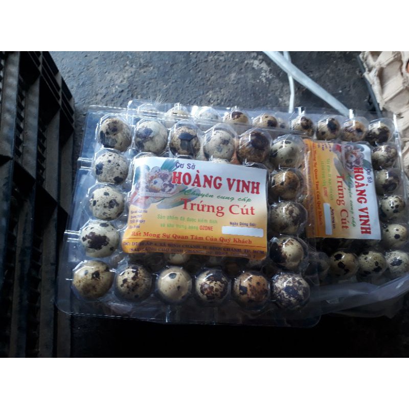 Trứng Cút Tươi - 30 trứng/set | BigBuy360 - bigbuy360.vn