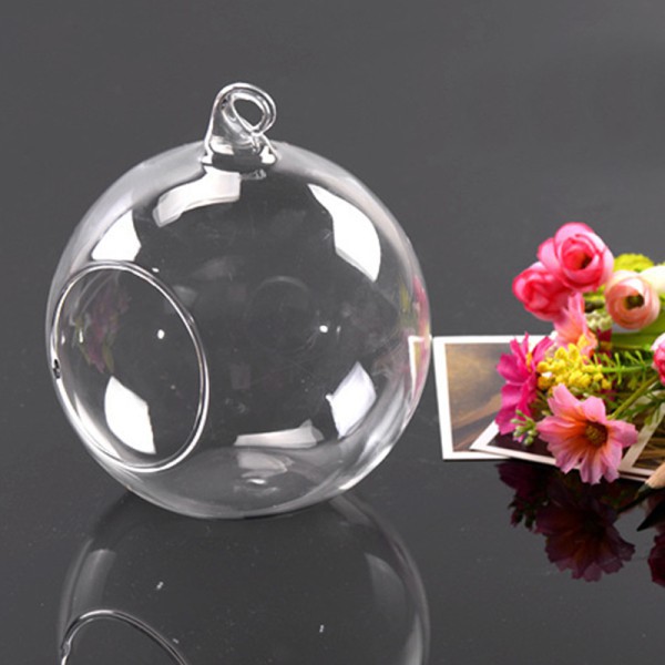 Chậu thủy tinh trồng cây xinh xắn Mỗi đơn đặt hàng tối đa là 6