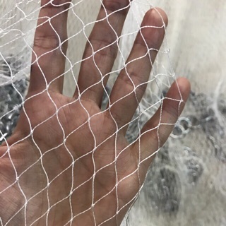 Chài bắt cá dù trắng
