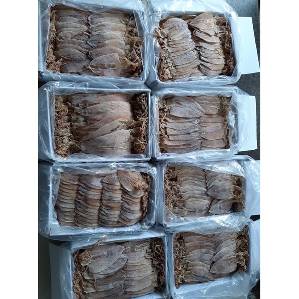 MỰC CÂU KHÔ VÂN DỒN,QUẢNG NINH LOẠI 1 size 12-14 con/kg BAO NGON,NGỌT THỊT,CÀNG NHAI CÀNG NGỌT.QUÀ BiẾU | BigBuy360 - bigbuy360.vn