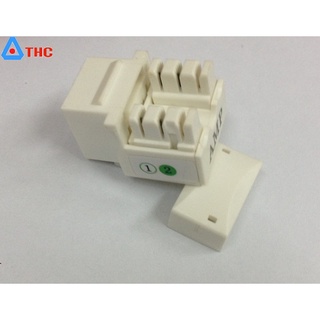 Nhân mạng Cat3, Cat5, Cat6 âm tường commscope