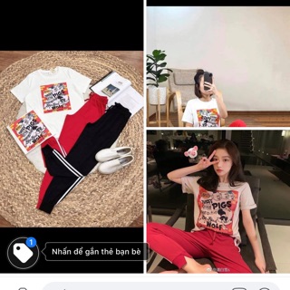 Bộ thun cotton giấy co dãn đa chiều vải dư