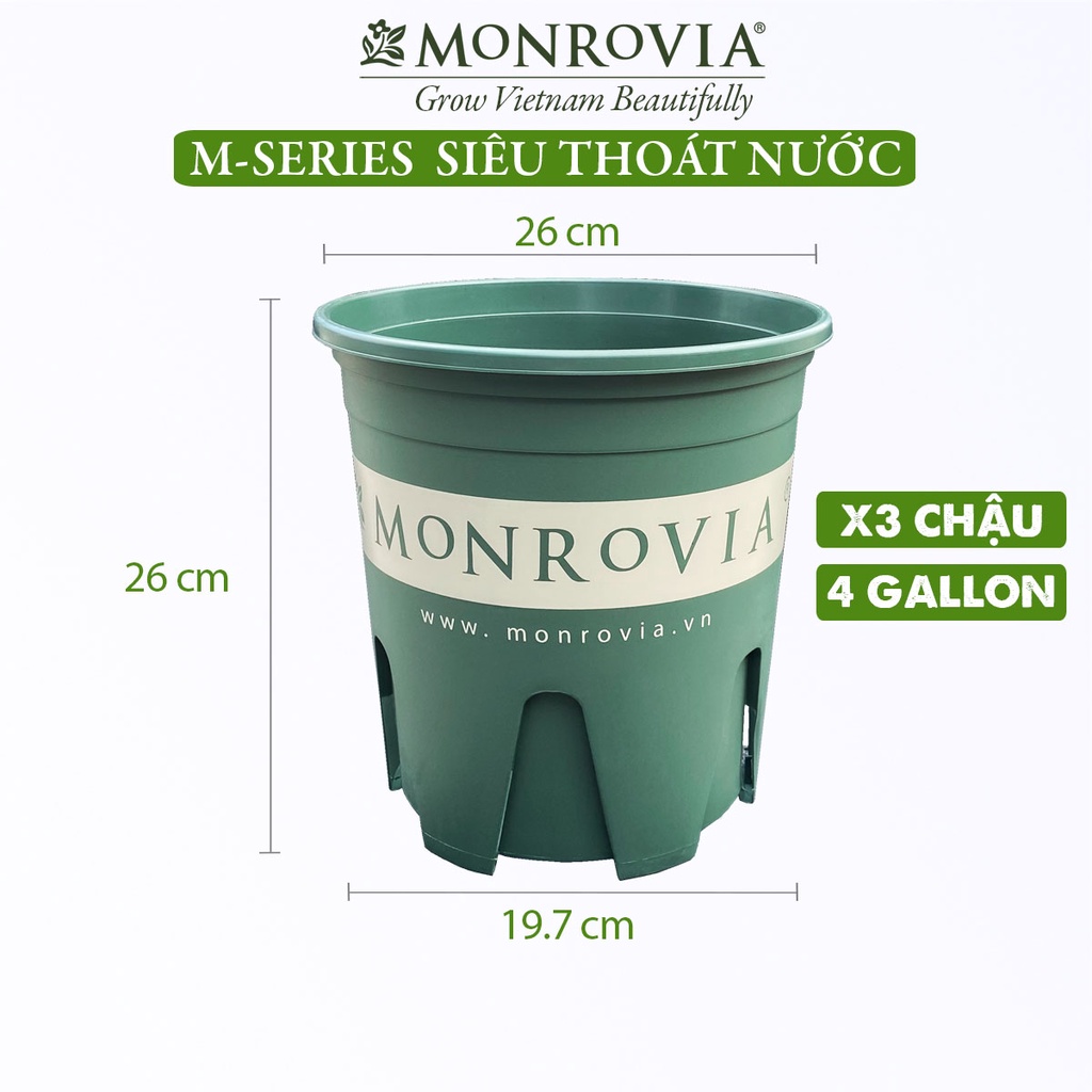 Combo 3 chậu trồng cây MONROVIA 4 Gallon cho cây cảnh, hoa để bàn, ban công, sân vườn, thiết kế tinh tế, dòng M-series