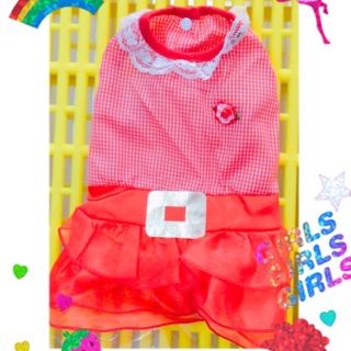 Áo cho chó mèo 2-3 kg - quần áo phụ kiện thú cưng