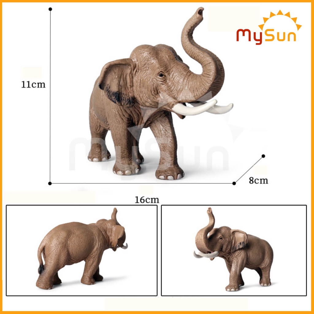 Bộ đồ chơi mô hình thế giới các con động vật hoang dã: cá sấu, hổ, gấu, sư tử, sói bằng nhựa dạy học cho bé MySun