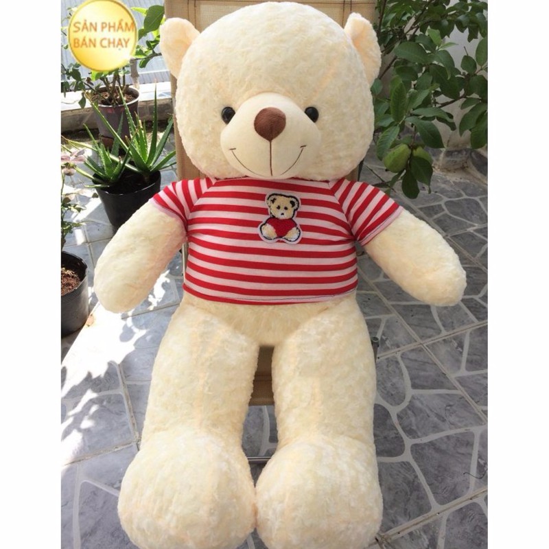 Gấu Bông Teddy Cực To Cực Cute