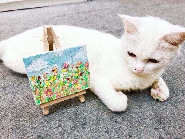 Canvas Mini Mont Marte kèm giá đỡ (Size 8x 10cm)