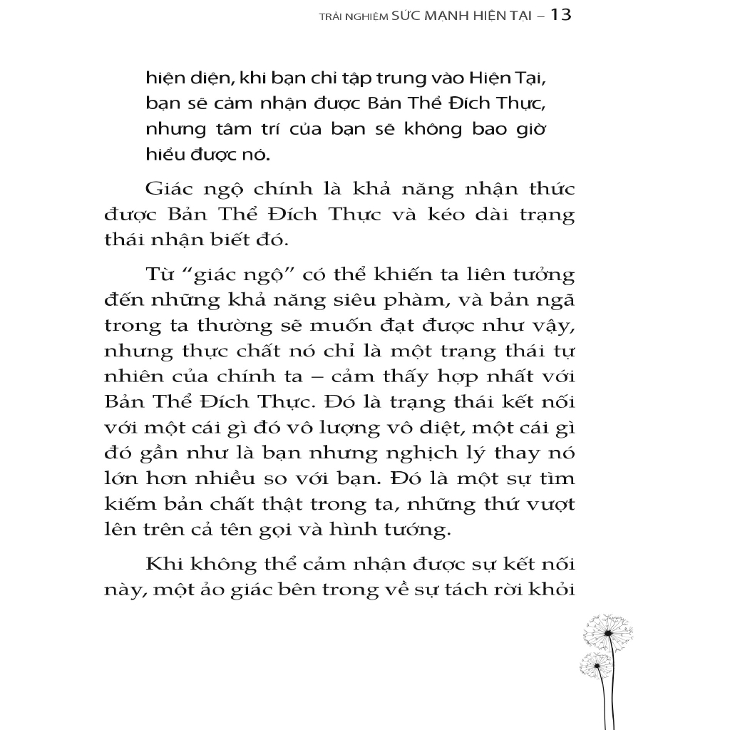 Sách - Trải Nghiệm Sức Mạnh Hiện Tại