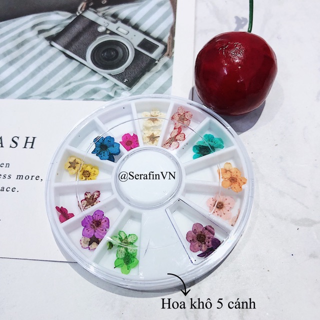 HOA KHÔ LÀM NAIL - ĐẮP ẨN - ĐẮP GEL NHIỀU KIỂU