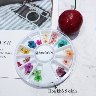Hoa khô trang trí nến thơm, làm nails