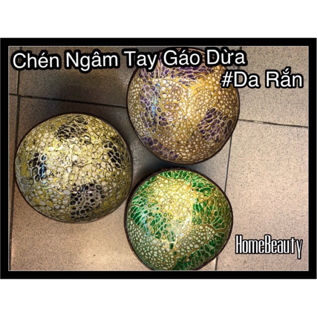 Chén Ngâm Tay Gáo Dừa ( #Chấm Bi)