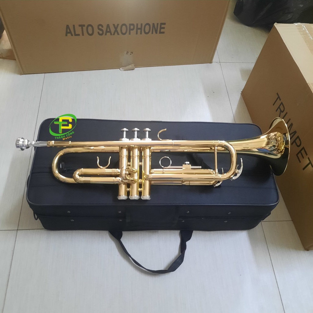 Kèn trumpet Aisiweier pháp vàng đồng