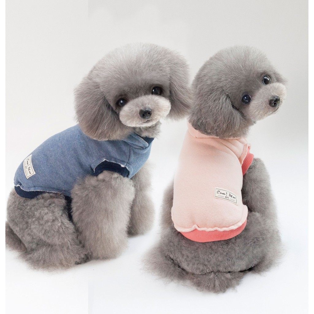 Áo Sweater Cotton Cỡ Lớn In Hình Gấu Bông Cheepet 2018 300g