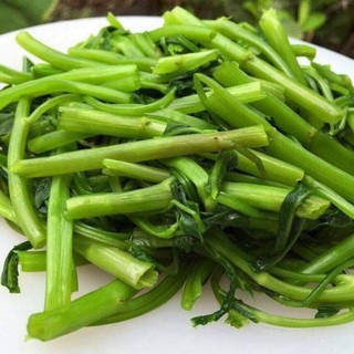 Chao môn béo ngọt ngon