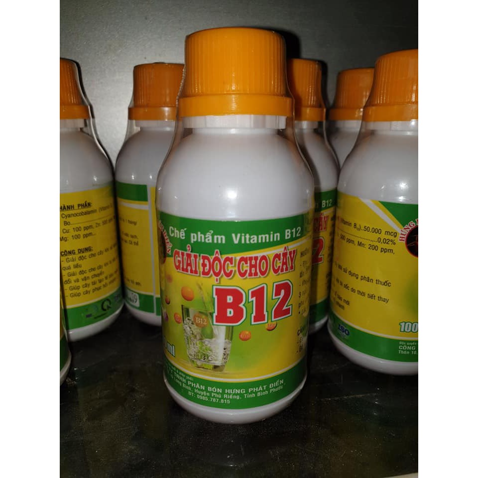 Vitamin B12 Cho Lan 100ml - Giải Độc Cho Cây Khi Bị Sốc Thuốc, Sốc Nhiệt - B12 Giúp Tái Tạo Tế Bào Mới, Phục Hồi Nhanh