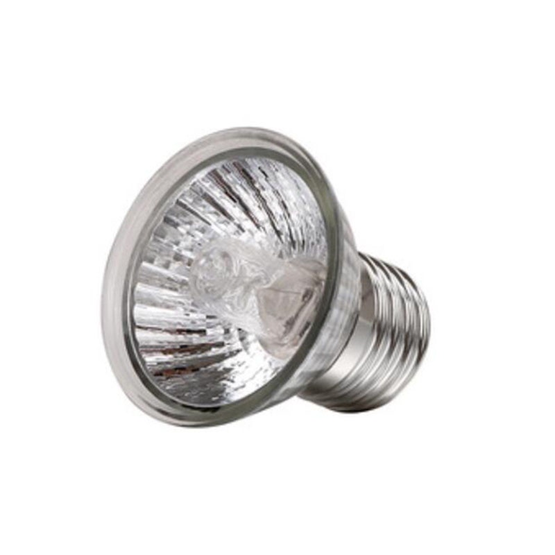 Đèn Sưởi Ấm Nuôi Rùa / Thằn Lằn Bò Sát 25w 50w 75w vnh2 110v 220v