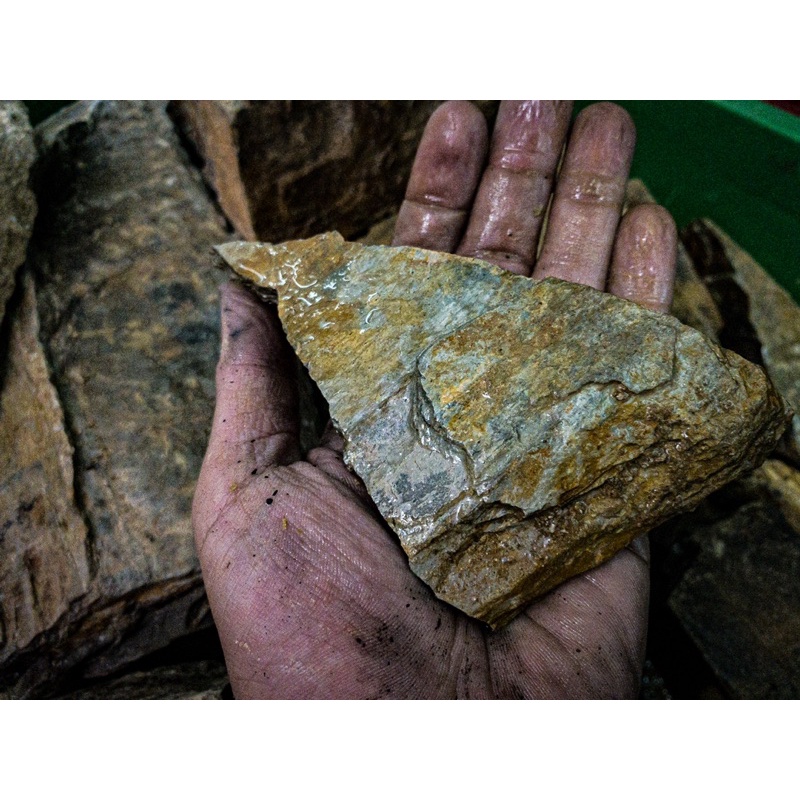 Đá Trầm Tích Vàng Vân Gỗ | Trang Trí Setup Bể Thủy Sinh, Biotope, ....| Mua Nhiều Giảm Giá