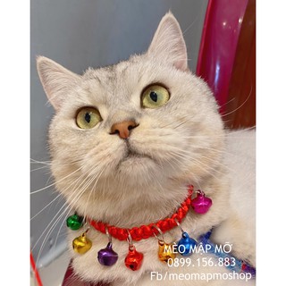 VÒNG CỔ NHIỀU CHUÔNG CHÓ MÈO