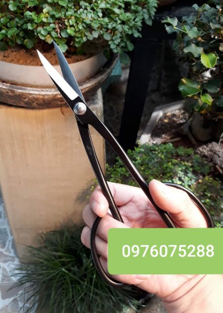 ✂️✂️ Kéo tỉa nhọn Ryuga hàng mới về