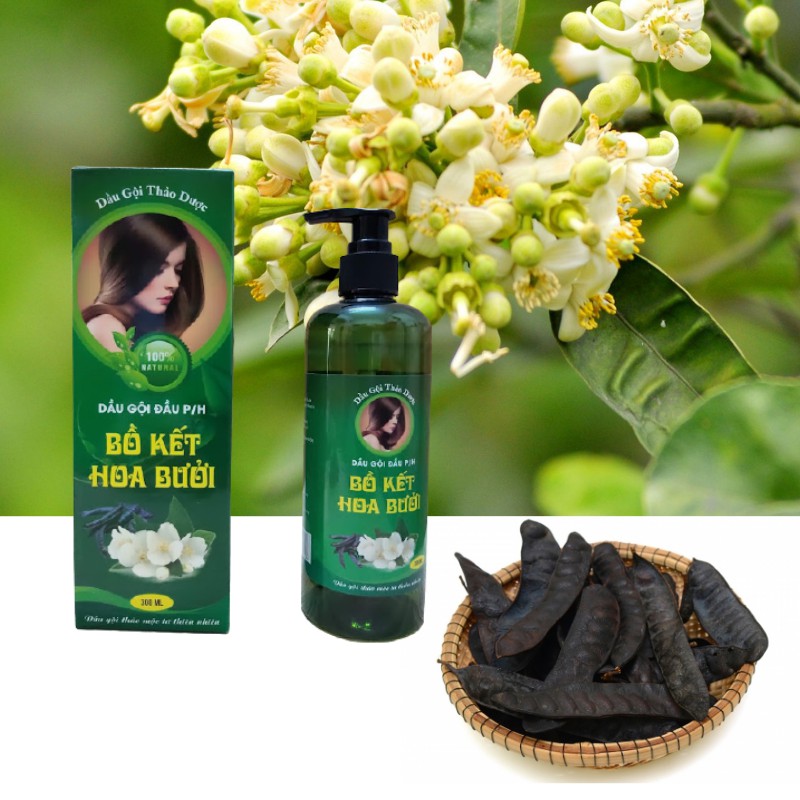 [SẢN PHẨM ORGANIC ] Dầu gội đầu thảo dược bồ kết hoa bưởi P/H - sạch gàu, chống nấm ngứa, ngăn rụng tóc - 300ml | BigBuy360 - bigbuy360.vn