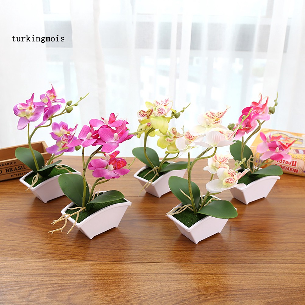 Chậu Hoa Lan Cánh Bướm Nhân Tạo Dùng Trang Trí Nhà Cửa / Văn Phòng