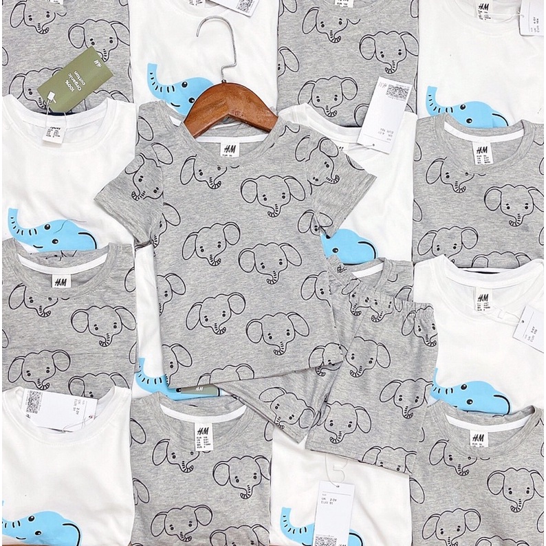 Set 2 bộ cotton bé HM bé trai