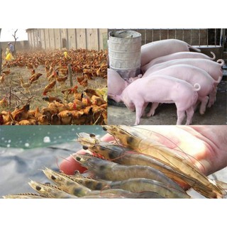 Chế Phẩm Sinh Học EM1 Loại 1L