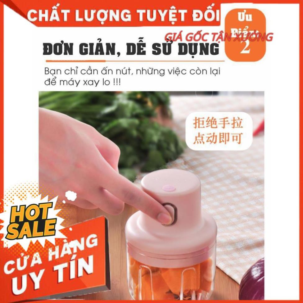 Máy xay đa năng mini cầm tay dung tích 250ml -  Xay thịt gia vị tỏi ớt rau củ kèm dây sạc 