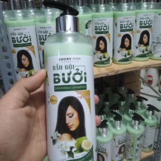 DẦU GỘI BƯỞI LUCKY STAR 500ml