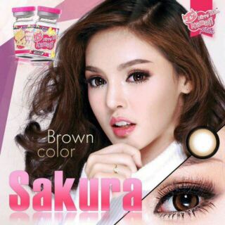 SAKURA_Brown contact lens