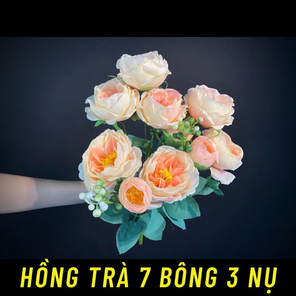 Hoa Hồng Trà 7 Bông 3 Nụ Cắm Cổng Cưới Trang Trí Độc Đáo ABSHOP COM VN