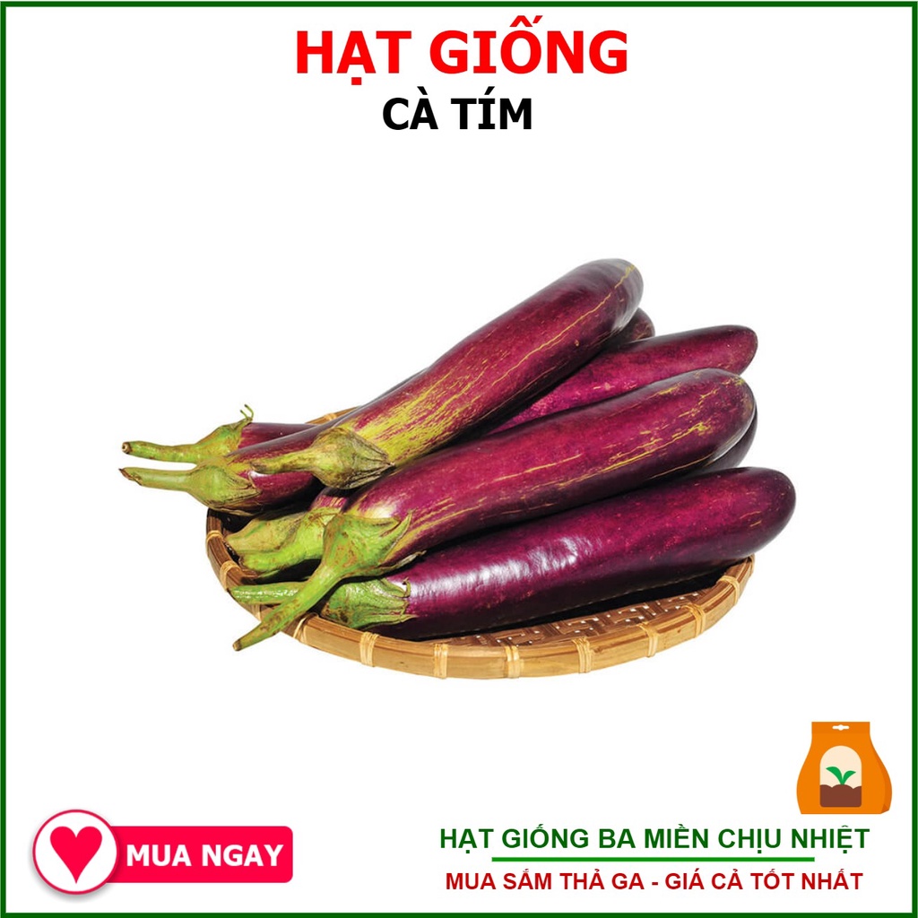 [Trang Nông] Gói 1gram Hạt Giống Cà Tím