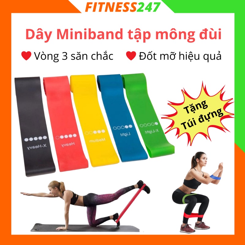 Dây Kháng Lực Miniband Tập Mông Chân Đùi, Dây Cao Su Tập Yoga Gym Co Dãn Đàn Hồi Cao Cấp Fitness247( Tặng Kèm Túi Đựng)