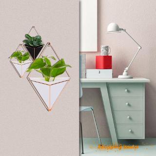 Bộ 2 chậu cây treo tường mini