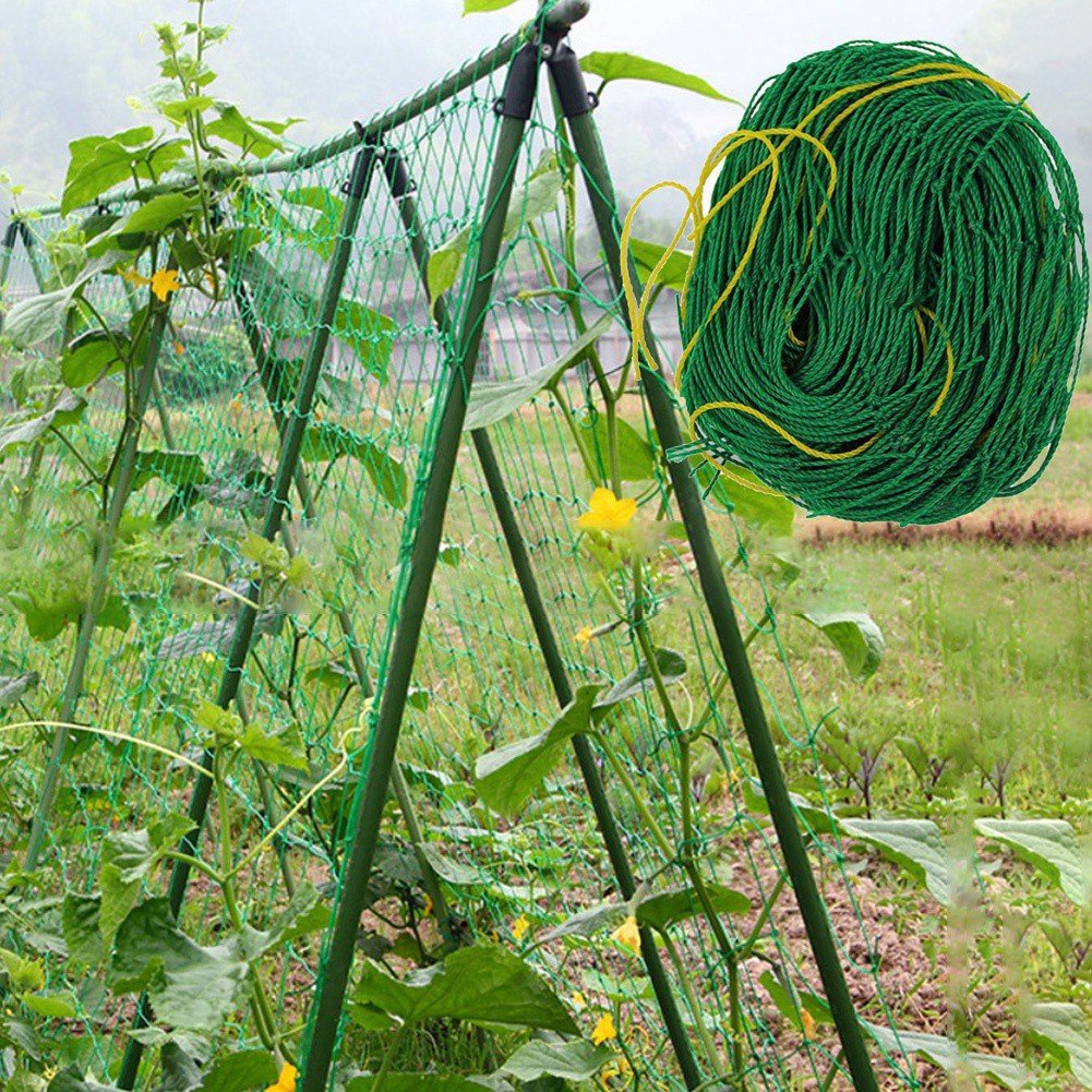 Lưới làm giàn dây leo,trồng nho,trồng dưa, thích hợp làm giàn cây