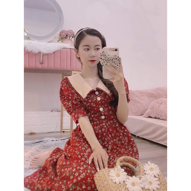 váy hoa nhí cổ bẻ vintage | BigBuy360 - bigbuy360.vn