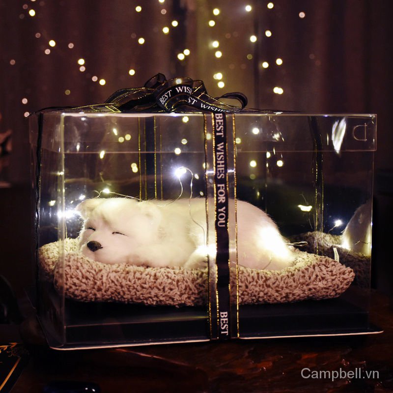 Hộp quà tặng sinh nhật sáng tạo dịp Lễ tình nhân cho bạn gái và bạn bè