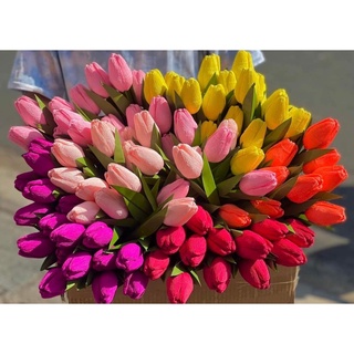 Hoa Tulip Giả, Hoa tulip decor trang trí, phụ kiện chụp ảnh siêu đẹp