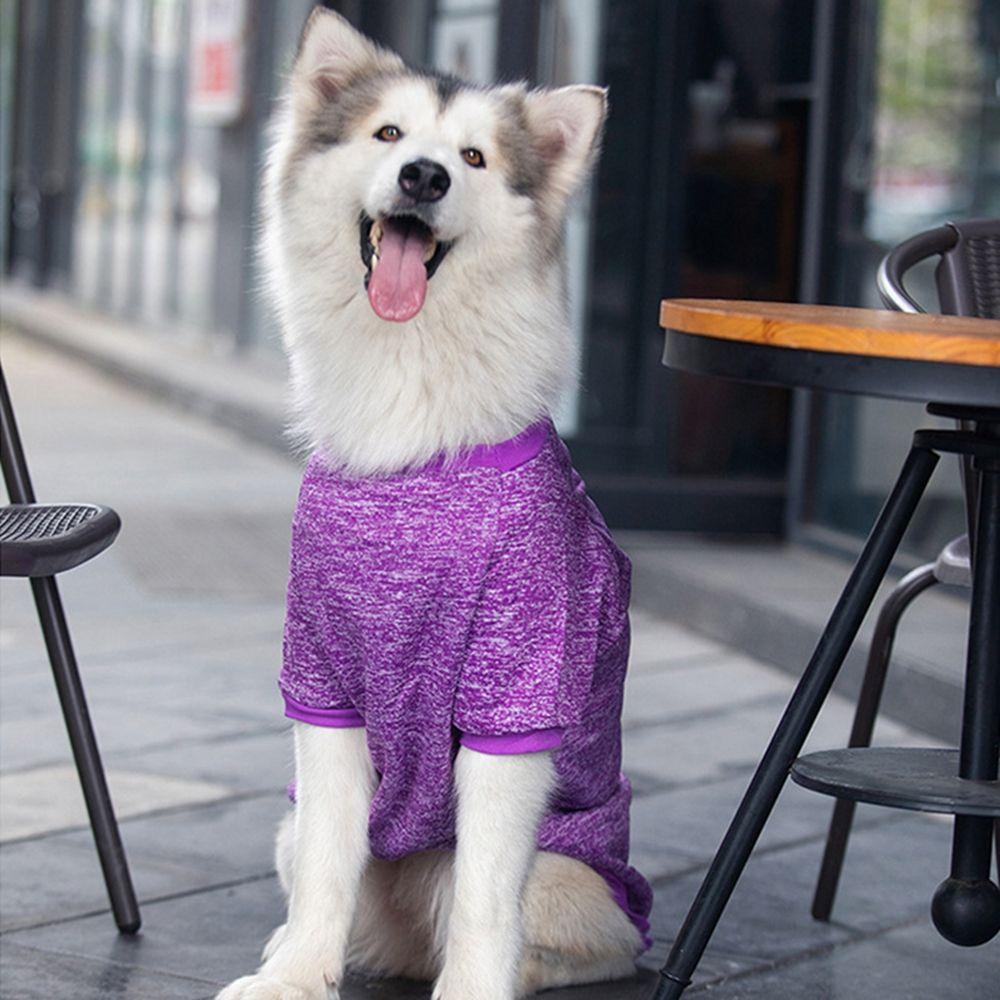 Áo Khoác Vải Lông Cừu Cỡ Lớn Dành Cho Chó Labrador|Áo Sweater Giữ Ấm Phong Cách Retriever Alaskan