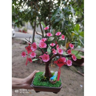 SET LÀM HOA MAI/ĐÀO BẰNG GIẤY 🌸🌸🌸