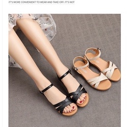 Giày Sandal Nữ 2p Dây Ôm Chân Siêu Xinh Mã C29