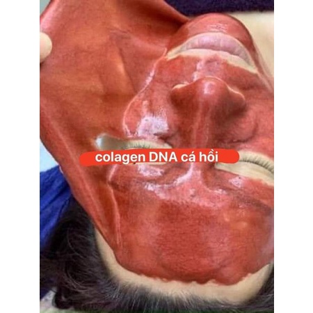 Bột đắp mặt- mặt nạ DNA cá hồi