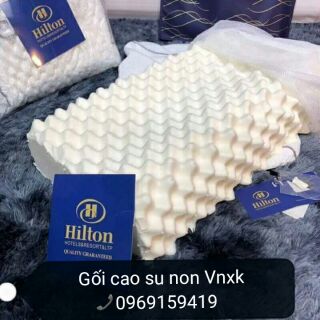 Gối cao su non hilton