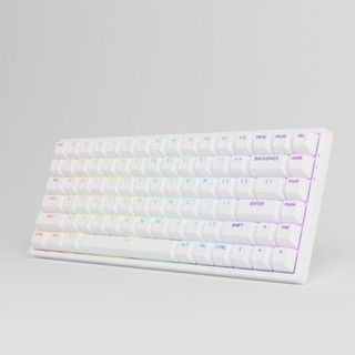 Bàn Phím Cơ AKKO 3084 v2 RGB (Foam tiêu âm / Hotswap / AKKO CS Jelly switch)