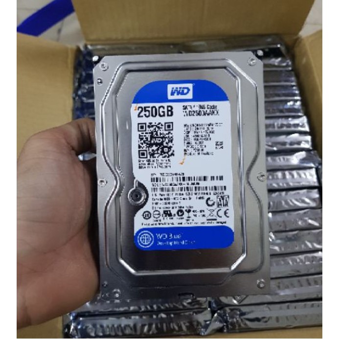 Ổ cứng HDD 250GB Western - Tặng cáp sata 3.0 - Hàng tháo máy đồng bộ mới 98% - Bảo hành 24 tháng | BigBuy360 - bigbuy360.vn