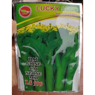Hạt giống cải ngồng xanh 500 hạt