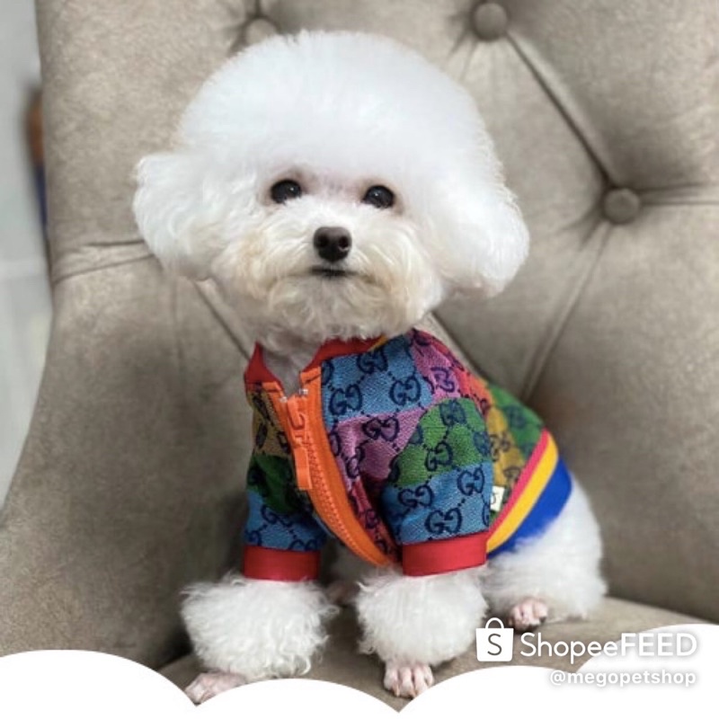 ÁO CHÓ MÈO - ÁO KHOÁC HOẠ TIẾT SANG CHẢNH